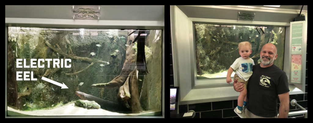 Brand director Mark Foster holds his son in front of the eel tank at Belle Isle Aquarium